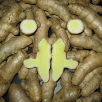Curcuma zedoaria (корень)