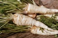 Petroselinum tuberosum: Fakir